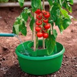 Tomatengewächshaus Bewässerungsring