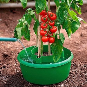 【ᐅᐅ】Tomatengewächshaus Finde Dein passendes Tomatenhaus
